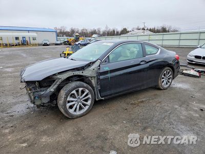 2014 HONDA ACCORD EXL 1HGCT2B86EA001076 - główne zdjęcie licytacji z USA - miniatura