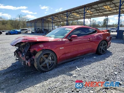 2015 FORD MUSTANG GT 1FA6P8CF5F5316256 - główne zdjęcie licytacji z USA - miniatura