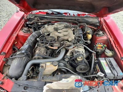 Zdjęcie 11 z 12 samochodu: 2003 FORD MUSTANG VIN:1FAFP40473F382583 - miniatura