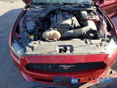 Zdjęcie 11 z 11 samochodu: 2016 FORD MUSTANG VIN:1FA6P8TH9G5237532 - miniatura