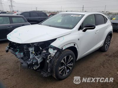2020 LEXUS NX JTJSARDZ9L5013305 - główne zdjęcie licytacji z USA - miniatura