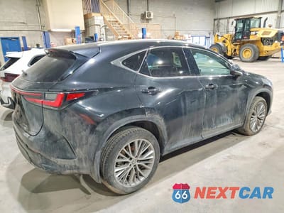 Trzecie zdjęcie samochodu z tyłu: 2023 LEXUS NX 350 VIN:2T2GGCEZXPC031335 - miniatura