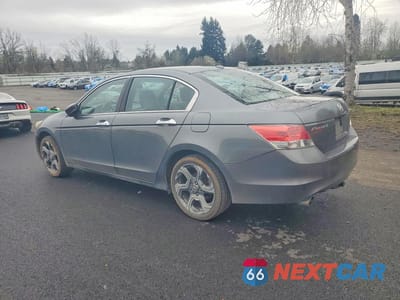 Drugie zdjęcie samochodu z przodu: 2010 HONDA ACCORD EXL VIN:5KBCP3F8XAB004987 - miniatura