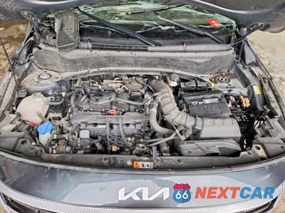 Zdjęcie 12 z 14 samochodu: 2024 KIA SELTOS SX VIN:KNDETCA70R7567176 - miniatura