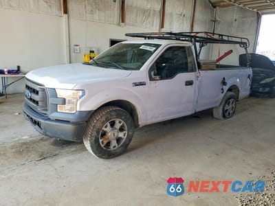 2016 FORD F150 1FTMF1C82GKF02692 - główne zdjęcie licytacji z USA - miniatura