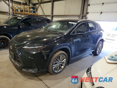 2023 LEXUS NX 350 2T2GGCEZXPC031335 - główne zdjęcie licytacji z USA - miniatura