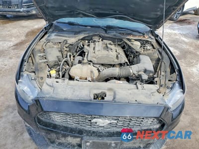 Zdjęcie 11 z 12 samochodu: 2017 FORD MUSTANG VIN:1FA6P8THXH5303510 - miniatura