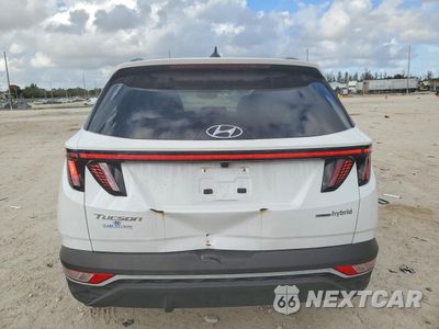 Zdjęcie 6 z 14 samochodu: 2024 HYUNDAI TUCSON HYBRID SEL CONVENIENCE VIN:KM8JCCD11RU143072 - miniatura