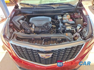 Zdjęcie 12 z 12 samochodu: 2021 CADILLAC XT5 PREMIUM LUXURY VIN:1GYKNCRS3MZ104395 - miniatura