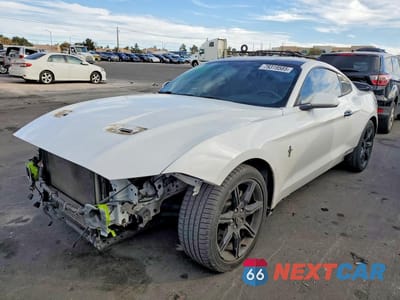 2019 FORD MUSTANG 1FA6P8TH4K5178236 - główne zdjęcie licytacji z USA - miniatura