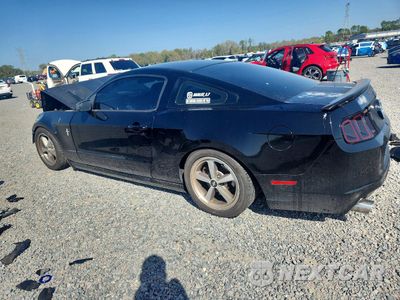 Drugie zdjęcie samochodu z przodu: 2014 FORD MUSTANG VIN:1ZVBP8AM8E5334076 - miniatura