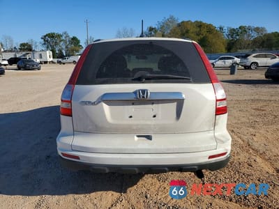 Zdjęcie 6 z 11 samochodu: 2010 HONDA CR-V EXL VIN:5J6RE3H77AL031865 - miniatura