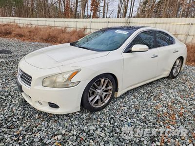 2011 NISSAN MAXIMA 3.5 S 1N4AA5AP0BC801299 - główne zdjęcie licytacji z USA - miniatura