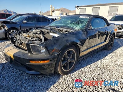 2007 FORD MUSTANG 1ZVHT85H975323500 - główne zdjęcie licytacji z USA - miniatura