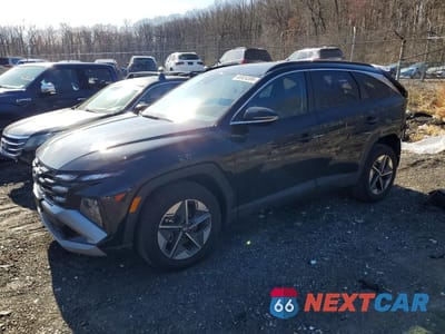 2025 HYUNDAI TUCSON SEL CONVENIENCE 5NMJCCDE9SH594089 - główne zdjęcie licytacji z USA - miniatura