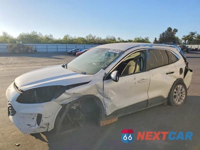 2021 FORD ESCAPE SE 1FMCU9BZ1MUA22679 - główne zdjęcie licytacji z USA - miniatura