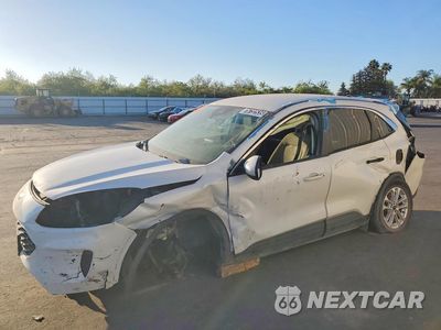2021 FORD ESCAPE SE 1FMCU9BZ1MUA22679 - główne zdjęcie licytacji z USA - miniatura