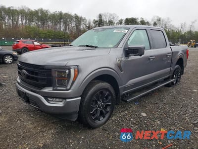 2023 FORD F150 SUPERCREW 1FTFW1ED5PFB87981 - główne zdjęcie licytacji z USA - miniatura