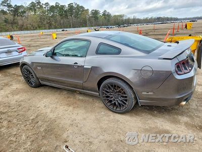 Drugie zdjęcie samochodu z przodu: 2014 FORD MUSTANG GT VIN:1ZVBP8CF3E5216421 - miniatura