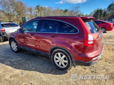 Drugie zdjęcie samochodu z przodu: 2007 HONDA CR-V EXL VIN:JHLRE487X7C016879 - miniatura