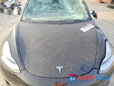 Zdjęcie 11 z 12 samochodu: 2019 TESLA MODEL 3 VIN:5YJ3E1EB0KF453392 - miniatura