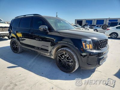 Czwarte zdjęcie samochodu z boku: 2025 KIA TELLURIDE SX-PRESTIGE X-LINE VIN:5XYP5DGC1SG653053 - miniatura