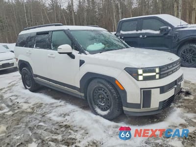 Czwarte zdjęcie samochodu z boku: 2024 HYUNDAI SANTA FE LIMITED VIN:5NMP4DGL7RH010113 - miniatura