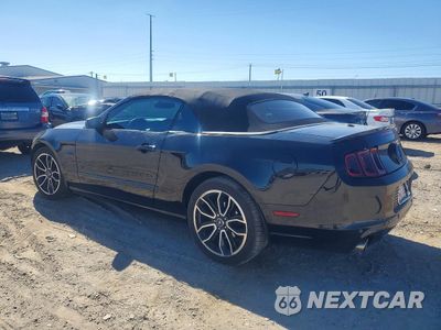 Drugie zdjęcie samochodu z przodu: 2014 FORD MUSTANG VIN:1ZVBP8FF9E5314333 - miniatura