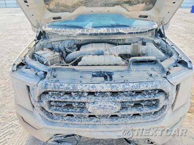 Zdjęcie 11 z 12 samochodu: 2023 FORD F150 SUPERCREW VIN:1FTFW1E83PFB14627 - miniatura