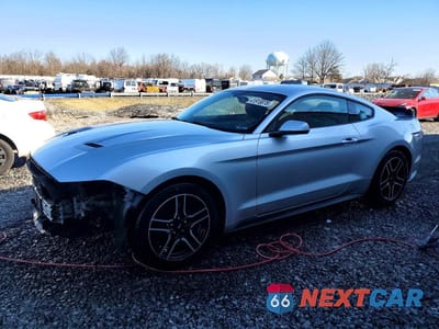 2019 FORD MUSTANG 1FA6P8TH4K5172579 - główne zdjęcie licytacji z USA - miniatura