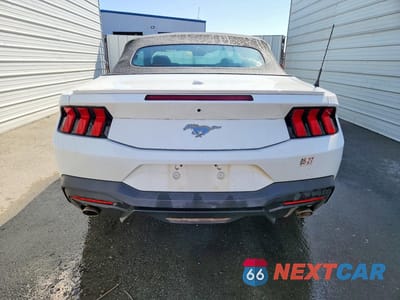Zdjęcie 6 z 13 samochodu: 2025 FORD MUSTANG VIN:1FAGP8UHXS5113491 - miniatura