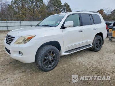 2009 LEXUS LX 570 JTJHY00W294025937 - główne zdjęcie licytacji z USA - miniatura