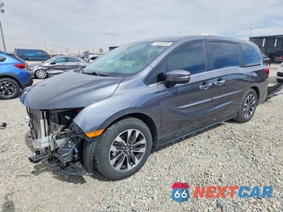 2024 HONDA ODYSSEY EXL 5FNRL6H62RB019979 - główne zdjęcie licytacji z USA - miniatura