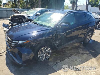 2024 HYUNDAI TUCSON HYBRID BLUE KM8JBCD10RU202728 - główne zdjęcie licytacji z USA - miniatura