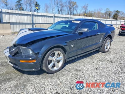 2009 FORD MUSTANG GT 1ZVHT82H395116611 - główne zdjęcie licytacji z USA - miniatura