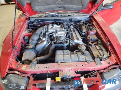 Zdjęcie 11 z 12 samochodu: 1999 FORD MUSTANG COBRA SVT VIN:1FAFP46V6XF201060 - miniatura