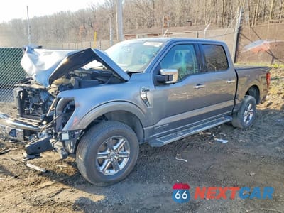 2024 FORD F150 XLT 1FTFW3LD7RFA31779 - główne zdjęcie licytacji z USA - miniatura
