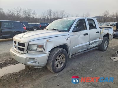 2011 DODGE DAKOTA SLT 1D7RW3GK7BS691877 - główne zdjęcie licytacji z USA - miniatura