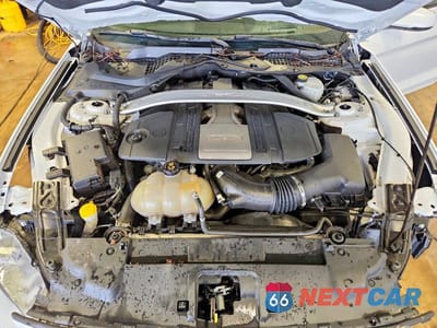 Zdjęcie 11 z 11 samochodu: 2019 FORD MUSTANG GT VIN:1FA6P8CFXK5198909 - miniatura