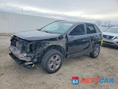 2024 TOYOTA RAV4 XLE 2T3P1RFV7RC484777 - główne zdjęcie licytacji z USA - miniatura