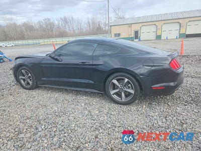 Drugie zdjęcie samochodu z przodu: 2015 FORD MUSTANG VIN:1FA6P8AM8F5388246 - miniatura