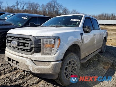 2021 FORD F150 SUPERCREW 1FTEW1EP7MKD45424 - główne zdjęcie licytacji z USA - miniatura