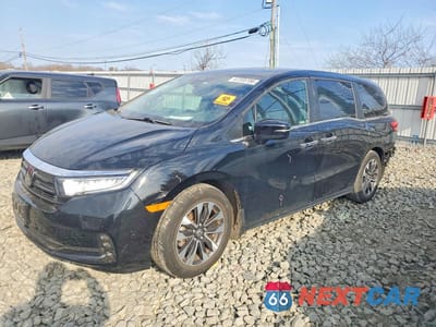 2024 HONDA ODYSSEY EXL 5FNRL6H64RB040994 - główne zdjęcie licytacji z USA - miniatura