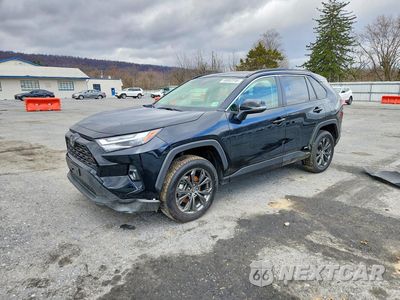 2025 TOYOTA RAV4 XLE PREMIUM JTMB6RFV7SD157230 - główne zdjęcie licytacji z USA - miniatura