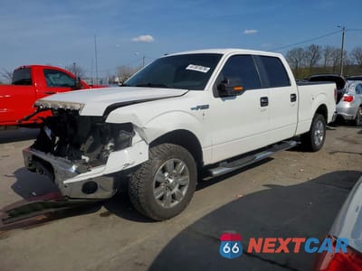 2010 FORD F150 SUPERCREW 1FTEW1C84AFB36383 - główne zdjęcie licytacji z USA - miniatura