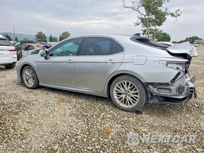 Drugie zdjęcie samochodu z przodu: 2018 TOYOTA CAMRY XLE VIN:4T1B11HK8JU034095 - miniatura