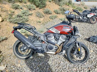 2024 HARLEY DAVIDSON RA1250 S 1HD1ZES23RB303621 - główne zdjęcie licytacji z USA - miniatura