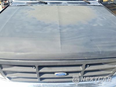 Zdjęcie 11 z 13 samochodu: 1995 FORD F150 VIN:1FTEF14Y8SLA60412 - miniatura