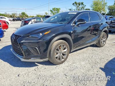 2020 LEXUS NX 300 JTJJARBZ8L5006246 - główne zdjęcie licytacji z USA - miniatura