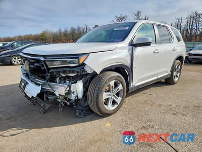 2025 HONDA PILOT EXL 5FNYG1H44SB000342 - główne zdjęcie licytacji z USA - miniatura